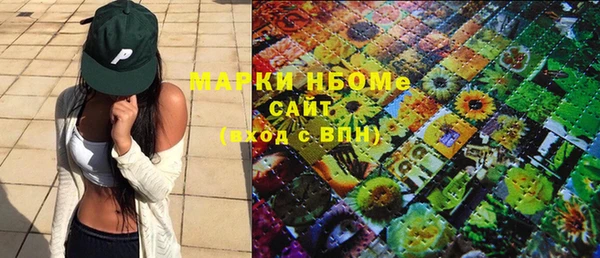 шишки Алзамай