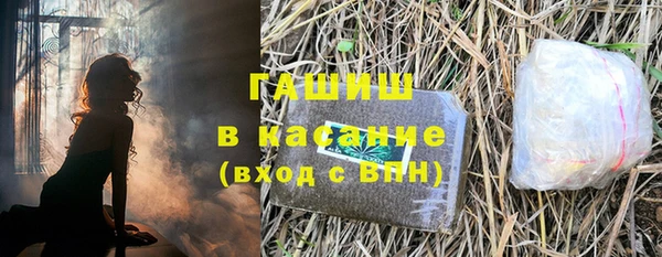 прущие грибы Бородино