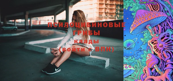 гашик Балахна