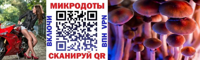 Псилоцибиновые грибы прущие грибы  мега как зайти  Шуя  закладка 