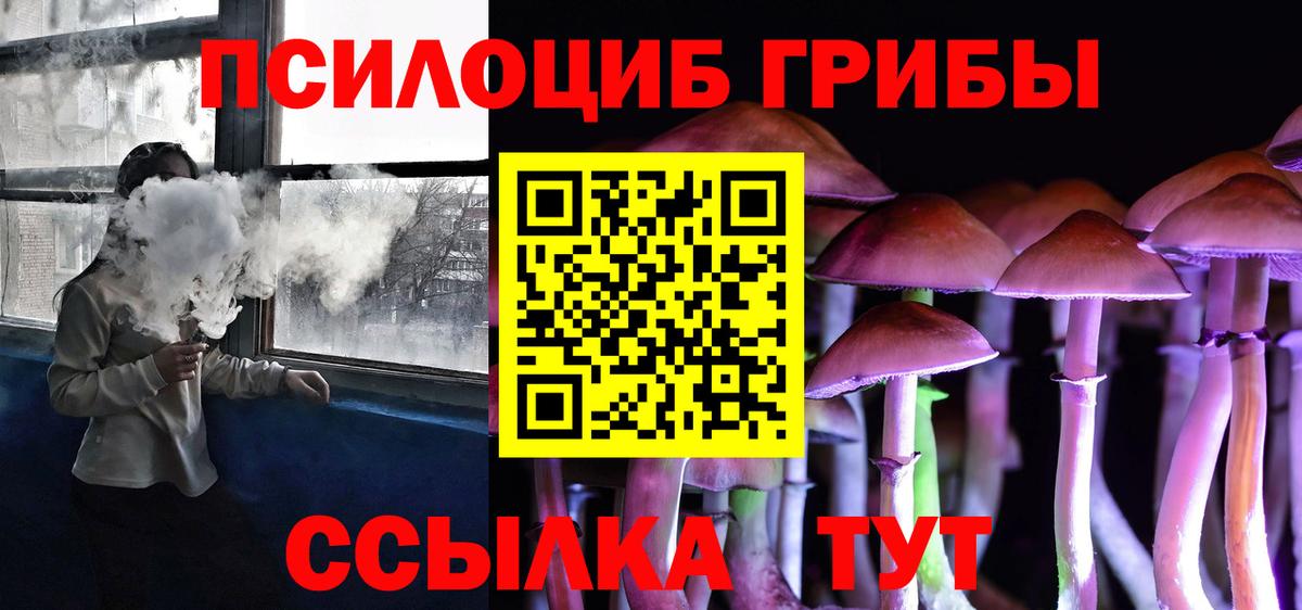 Псилоцибиновые грибы прущие грибы  Вход с VPN  Шуя 