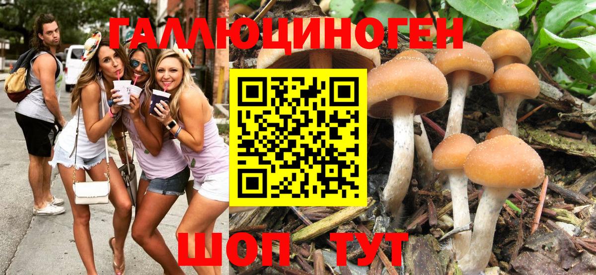 Галлюциногенные грибы Cubensis Шуя